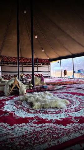 #مجرد________ذووووووق🎶🎵💞 #000hayaah #شعب_الصيني_ماله_حل😂😂 #ذؤق_💙_ؤآبدآع_💙_💙_جميل_💙_ؤرعہهہہ💙_ #المشاهدات 