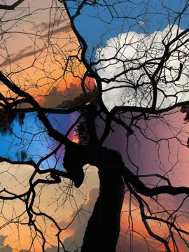 #bautroi #hoanghon #binhminh