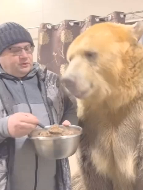 Медведь кушает гречневую кашу за маму и за папу