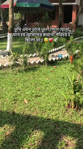 তুমি এমন ভাবে ভুলে গেলে যেনো মনে হয় আমাদের কখনো পরিচয় ই ছিলো না:) 😅❤️‍🩹🕊️#Foryou #foryoupage #bedtiktokofficial #yur_tarin #bdtiktokofficial🇧🇩 