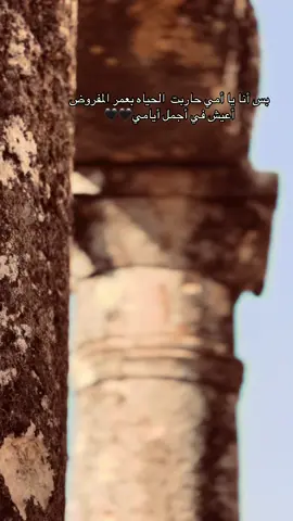 الحمدلله 🤍🤍#تصويري📸 #fyp #foryoupage #الراايق🖤١ #ادلبي 