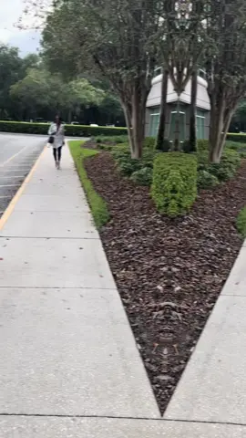 #thewiz#elphaba#galinda#oz