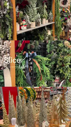 Christmas @TJ Maxx is here!! Stay tuned to see all the new finds #tjmaxxfinds#tjmaxxhaul #tjmaxxchristmasfinds #tjmaxxshopping 