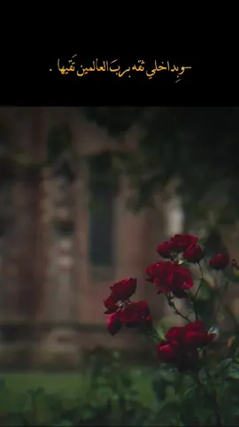 اول فيديو بالحساب❤✍️✨#الشعب_الصيني_ماله_حل😂😂 #استوريات 