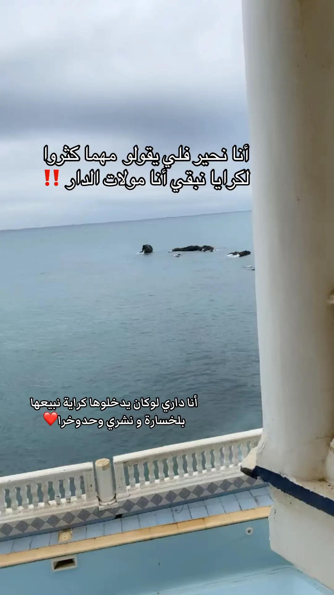 #viral #forupage #fyp #الشعب_الصيني_ماله_حل #algeria🇩🇿 