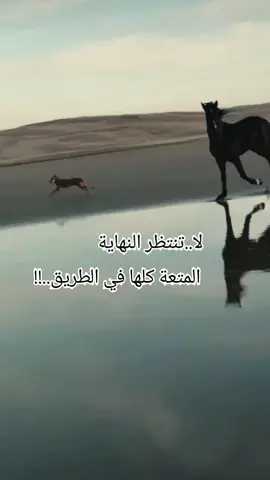 #creatorsearchinsights #PaidPartnership #soudjoud💚 #خواطر #fyp و نأمل الخير دائما في النهاية..