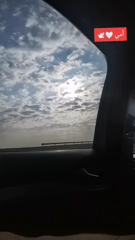 #أمي #الغالية #CapCut #الامارات_العربية_المتحده🇦🇪 #الحياة #الاردن🇯🇴 #السعوديه 