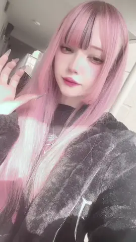 some clips from the past week 🐈‍⬛💭