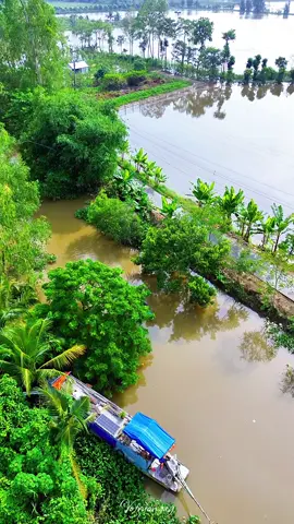 Lòng dau nghe muối mặn đắng..cảnh đẹp miền tây #cảnhđẹpthiênnhiên #votruongag #mientayquetoi #canhqueyenbinh 