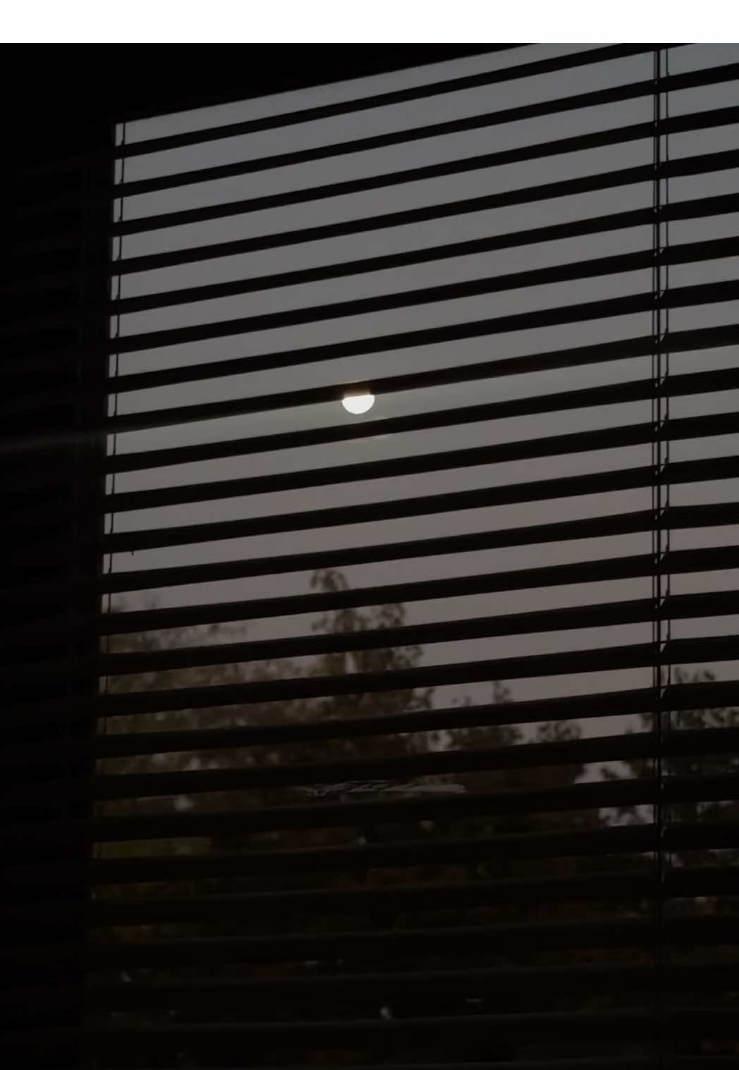 life has been very uneventful but in a good way. trying to embrace the silence rather than fill it up with noise just because i’m uncomfortable with it. 