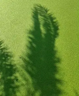 যেখানে জীবন আছে, সেখানে ব্যথা এড়ানো অসম্ভব !