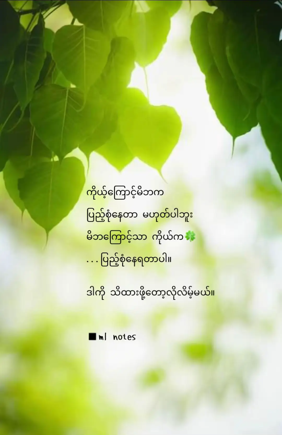 #စိတ်ခွန်အားပြည့်စာစုလေးများ #mlnotes #စာတိုလေးတေတင်ပေးမှာမို့followပေးကြဦးနော် #စာတိုများစုစည်းရာ💫 