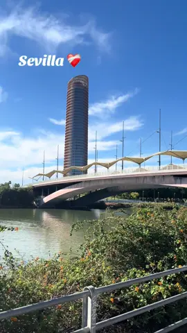 #الشعب_الصيني_ماله_حل😂 #maruecos🇲🇦españa🇪🇸 