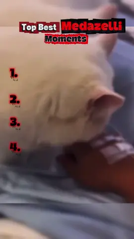 Funniest Medazelli Moments | @Medazelli☔️ #medazelli 