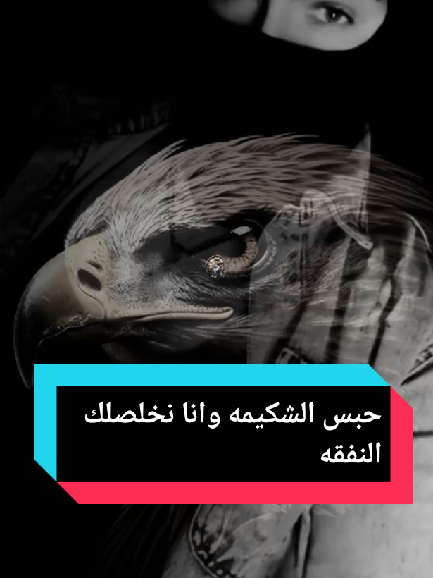 حبس الشكيمه وانا نخلصلك النفقة#wahid_dz_29 #شرات_و_معاني_تخليك_تعاني #foryoupage #fyp #explor 