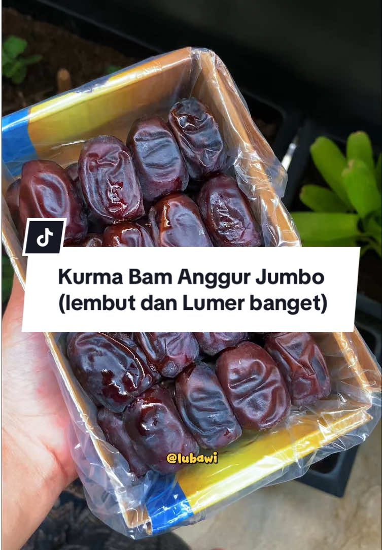 Kurma bam anggur jumbooi 😍😍 ini enak bund, lumerr gitu dalem nya, lembut bangett, penasaran langsung co 😍😍 #kurma #kurmabamanggur #kurmabamanggur #kurmamurah #kurmaalif @kurma_alif 