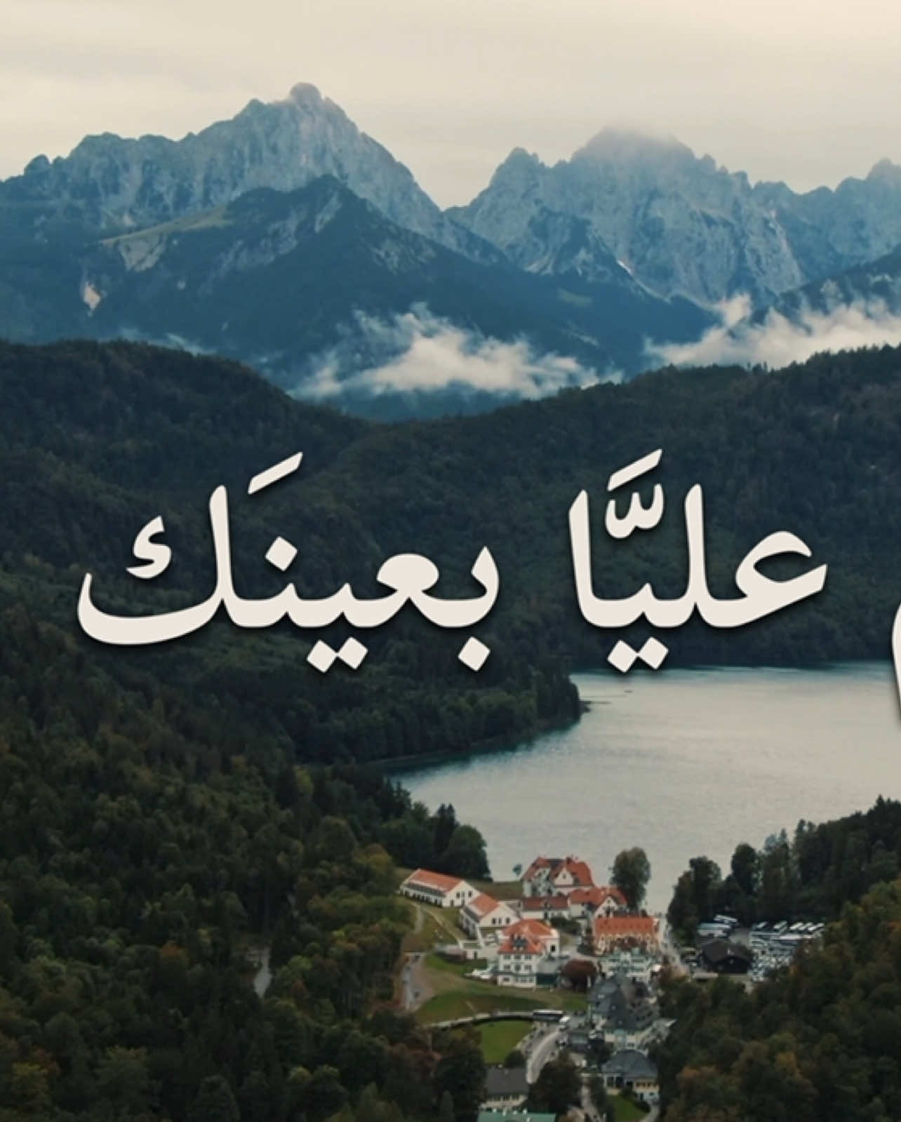 - يكثر حبيبي الكلام .. 🤍🎧                          #محمد_عبده  #abdu 