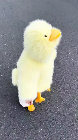 áo khoác vịt dày ấm xinh điệu cho bé gái và bé trai nè các mom ơi #yenkidshop #quanaothudongchobe #aokhoacchobe #aokhoacchobegai #aokhoaclong 