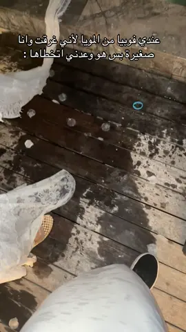 ماشاءالله تبارك الله 💛😭والله تخطيت