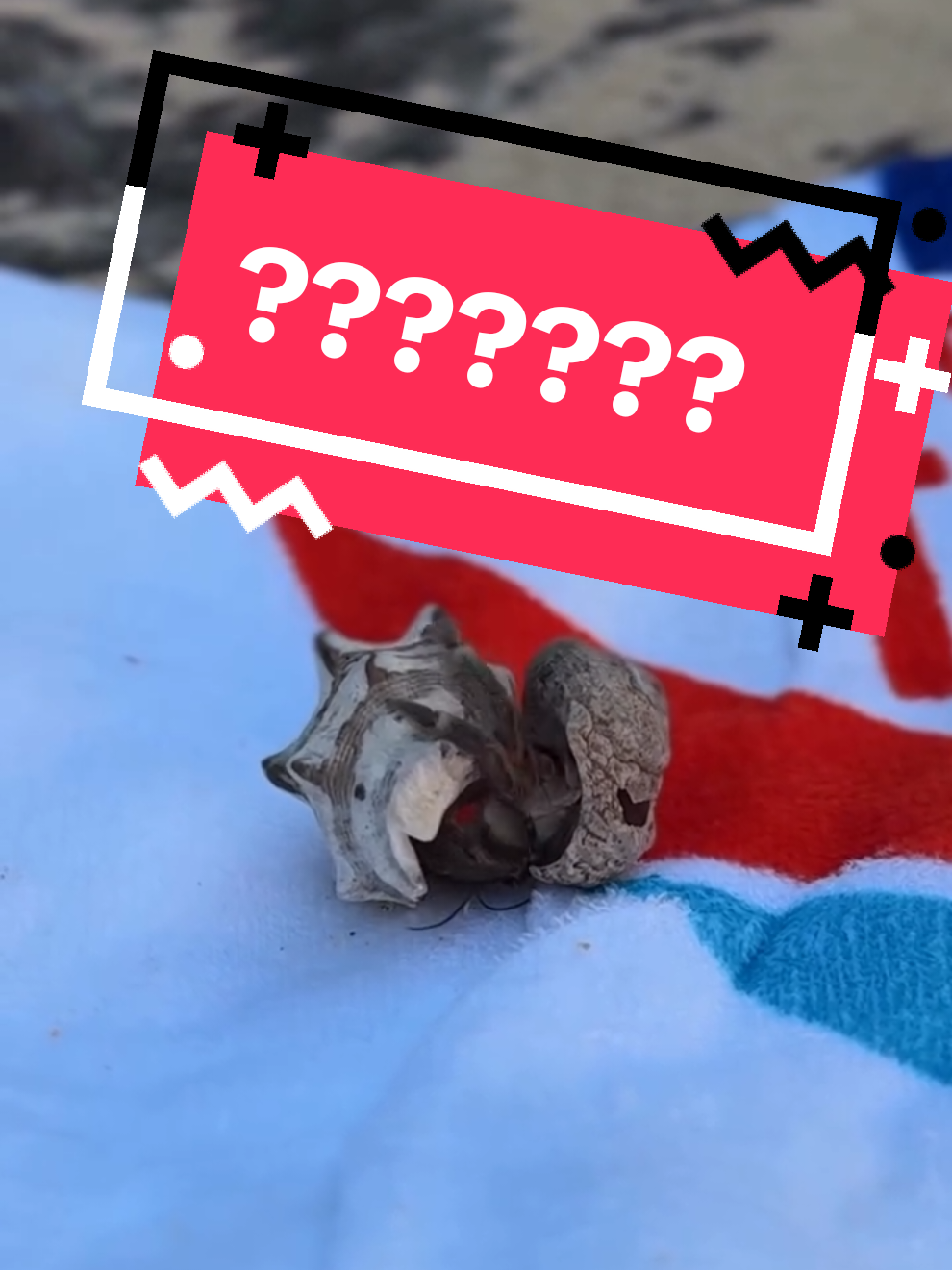 A sweet story from the real life of a little crayfish. 🦞