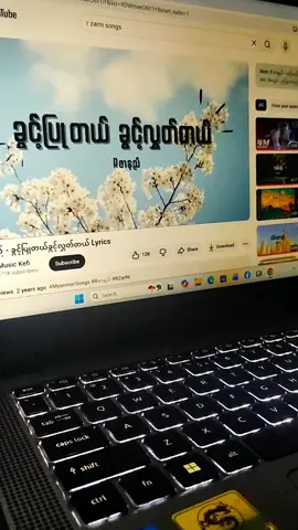 ခွင့်ပြုတယ် ခွင့်လွှတ်တယ်#fypシ #rzarni #myanmarsong #feelings #fyppppppppppppppppppppppp 