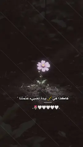 #دمتي لنا يا أمي 🥹🌹🌹🍃 #استوريات_تصميمي 