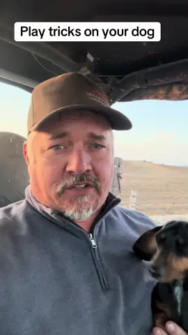 Playing a joke on my dog.  #furbaby #dachshund #dogs 