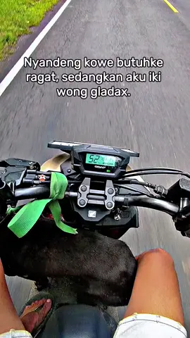 info lokasi gladax @Gem_Gladax #holigannyambek #anjingpemburubiawakblora #salamsatuhobby #anjingpemburubiawak #fyppppppppppppppppppppppp 