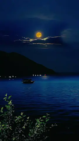 Tanhayion Man Yad Ati He Rat Bhar Teri Yad Rulati He . . . . #Foryoupage#Heartbroken #Viral#Lyricevideo#Saam