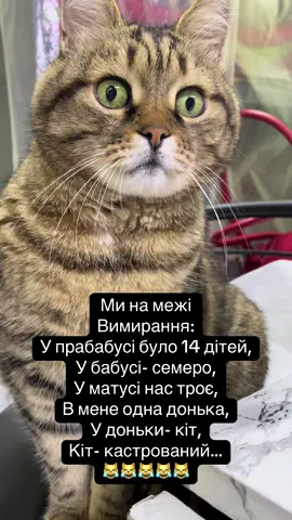 смішнікоти #котикисмішні #жартикотів #котикидлянастрою #мемипрокотів #котикиугар     