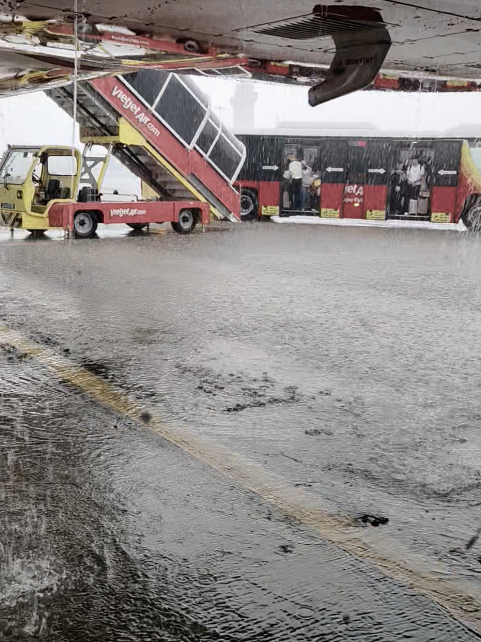 chỉ là cố gắng từng chút một mà thôi #vietjetair #shopvoanhgiaydep #tiktoc #vjgs#xuhuongtiktok 