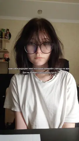 #lainiwakura #archlinux #uxearep #fyp #хз 