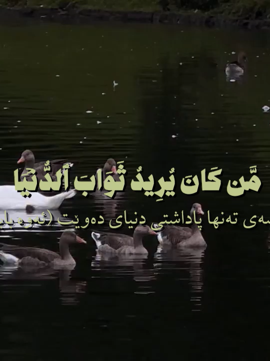 Surah An Nisa 134-135 | #quran #quranic #quranrecitation #quran_alkarim #quranvideo #quranverses #muslim #muslimtiktok #islamic #islamic_video #قرآن_كريم #قران #تلاوات_قرآنية #kurd #kurdistan