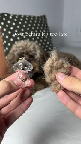 I hope you do this before you regret it 🥺❤️‍🩹 #dogowner #dog #dogmom #petmemorial #petloss 