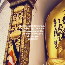 Loneliness is dangerous. It's addicting. Once you see how peaceful it is, you don't wanna deal with people -Buddhism Buddha 🕉️☸️#buddha #buddhismus Buddha quote Buddhism quote #viral #fyp #fy 