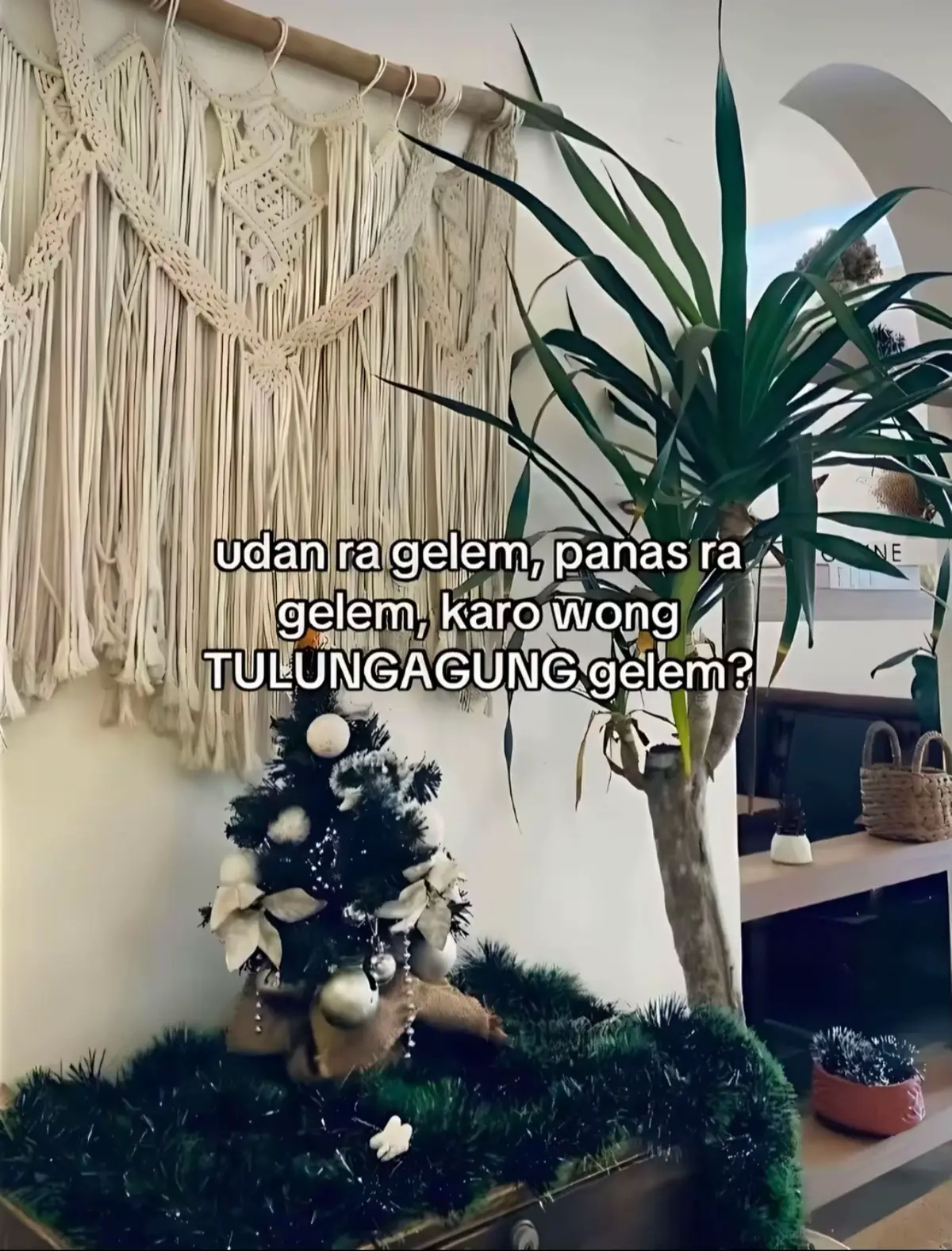 pripun?#tulungagung24jam #fyppppppppppppppppppppppp 