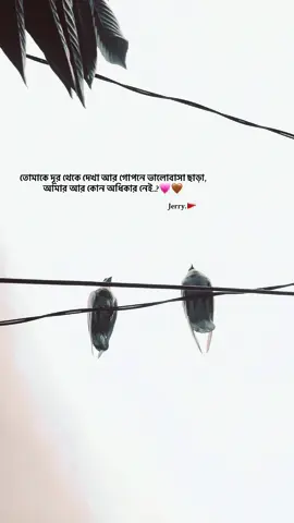 #foryoupage #varilvideo #fyppppppppppppppppppppppp 