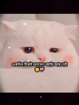 🥲	 	 	 	 #fupppppppppppppppppppppppp ##fupppppppppppppppppppppppp #foryou #fupppppppppppppppppppppppp 