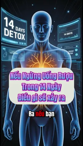 Điều gì sẽ xảy ra nếu ngừng uống rượu trong 14 ngày? #suckhoe #healthyfood #healthy #healthtips #health 