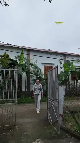 #vovinamnamdan2 #xuhuongtiktok #nhachaymoingay #xuhuongtiktok #TikTokAwardsVN 