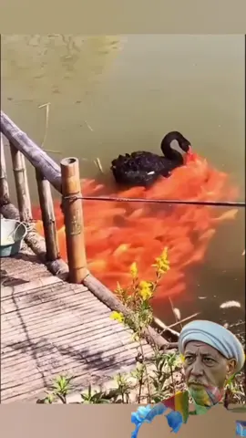 أسرار وتفاوت الرزق وتقديرات الخالق عز وجل في تربية الانسان واختباره.