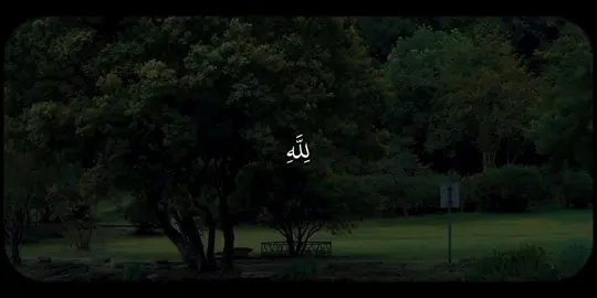 ﴿وَقَالُوا الْحَمْدُ لِلَّهِ الَّذِي أَذْهَبَ عَنَّا الْحَزَنَ ۖ إِنَّ رَبَّنَا لَغَفُورٌ شَكُورٌ﴾  _ _ _ [ فاطر - عمر بن ضياء الدين ] ____________________________ #quran_alkarim #quran #قران_كريم #تلاوات_خاشعة #قران 