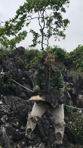 Quá đẹp cho 1 tác phẩm