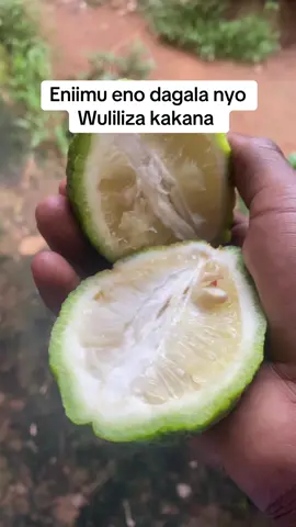 Olida kwebaza#fyppppppppppppppppppppppp #fyyyyyyyyyyyyyyyyyyy #foryou #tranding #viral 