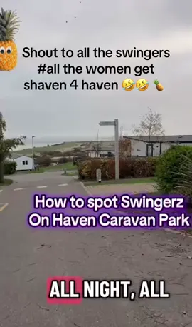 #havenkent#swingersclub#shaven4haven#fyp#