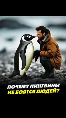 #rge #elbruso #fyp #memes 