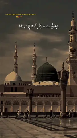 ho tery baya bano ki hawa tuj ko gawara🥺💯🥀#poetry_status #grow_up #unfreezemyaccount #followimg_me #followers➕ 