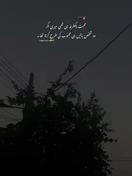 وہ شخص۔ 🫠🫀❤️‍🩹🤌🏻🥹 #fypシ゚viral #viralvideo #foryoupage #urdushayari #ᴀ ఌ 