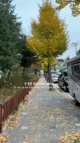 #CapCut … mùa thu Hàn Quốc , hôm nay tâm trạng không tốt … #유학생🇰🇷🇻🇳 