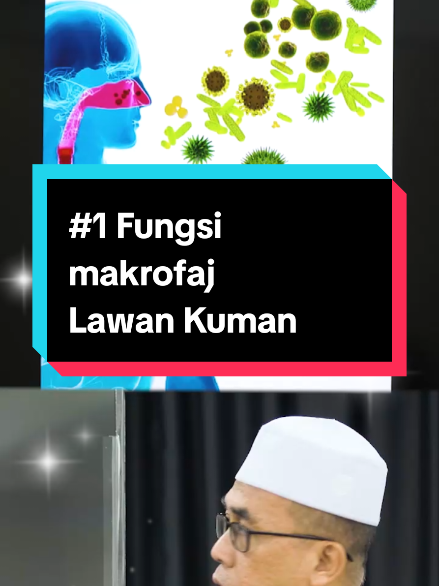 Bukan saintis - hanya menyampaikan apa yang saintis dah kaji.. Walaupun masa sekolah menengah dulu Pak Engku ambil aliran sains, but that did not make Pak Engku a scientist. Sekadar berkongsi dengan kawan2 info tentang fungsi-fungsi macrophages sebelum explain bagaimana IP-PA1 membantu fungsi-fungsi sel macrophages ini. #shiruto #ippa1 #macrophage 